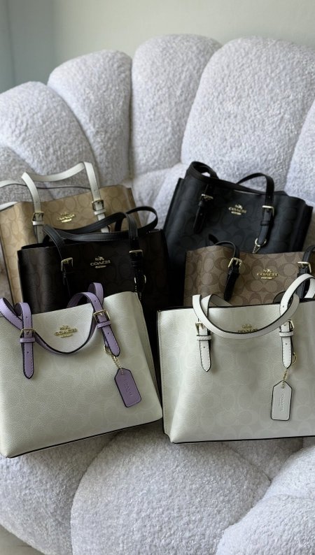 شنطة - Coach bag mollie tote / شامل العلبة
