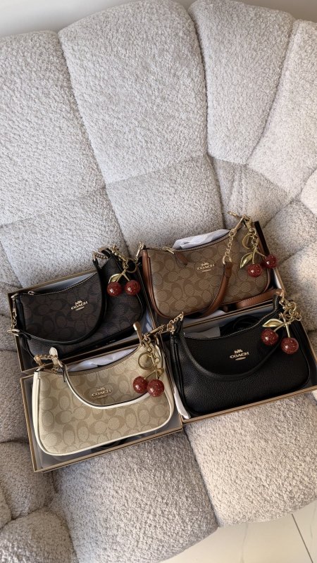 شنطة - Coach teri / شامل علبة