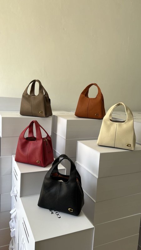 Coach LANA bag 23cm / شامل بوكس