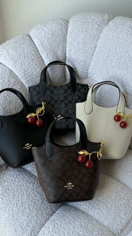 شنطة - coach hanna bucket bag/ شامل بوكس